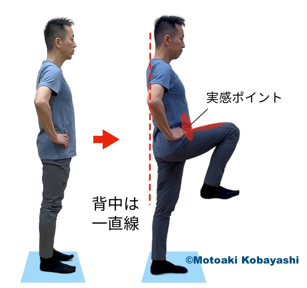 下半身／立位　ニーアップ　新